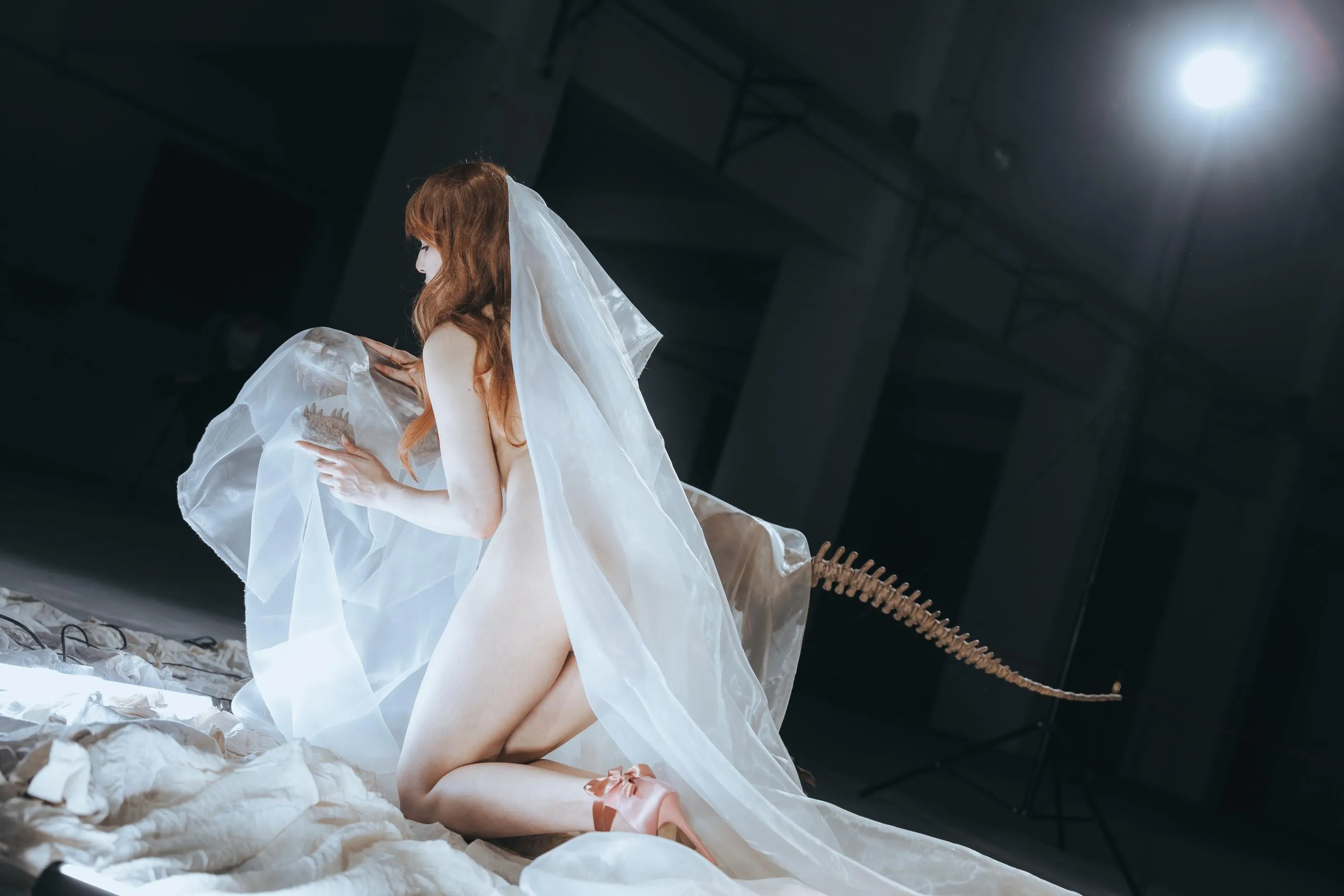 秋和柯基 – NO.099 纱 [66P]插图8